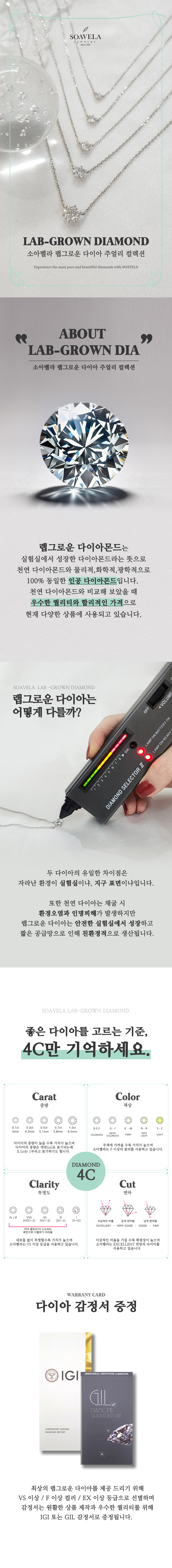 상세